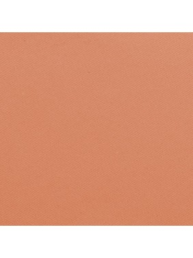 BLUSH NO 6 - PEACHES