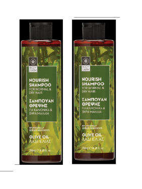 Bodyfarm Σαμπουάν Κανονικά Ξηρά Μαλλιά Olive Oil 1+1 Δώρο 250ml