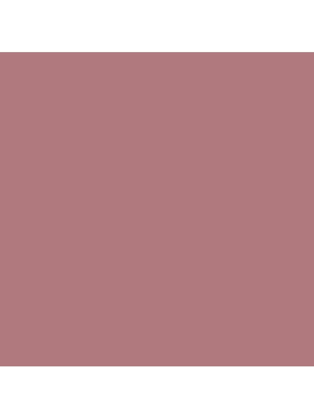 Lavish Care Matte Liquid Lipcolor No37