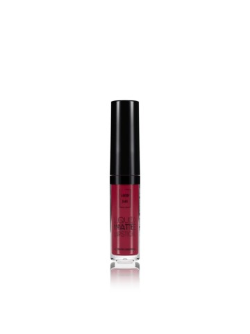 Lavish Care Matte Liquid Lipcolor No41