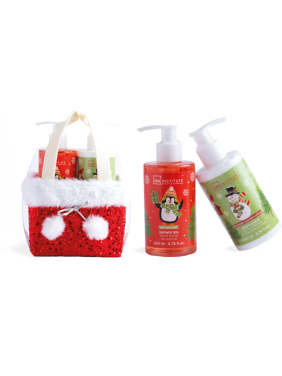  IDC Institute Christmas Care Basket 90375